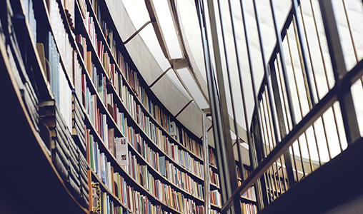 神州互动为世纪宏图打造网站建设平台